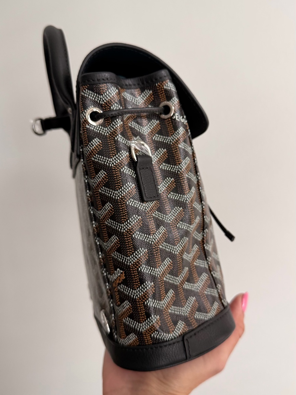 Goyard Alpin Mini Backpack Black Brown Goyardine Leather Trim - Missing Straps - Picture 4 of 8